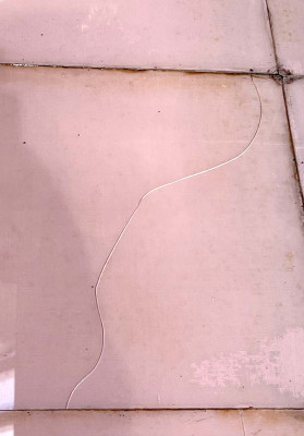 plafond en toile peinte marouflée sur verre crack